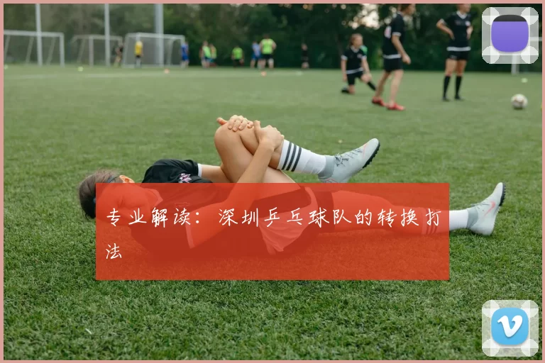 专业解读：深圳乒乓球队的转换打法