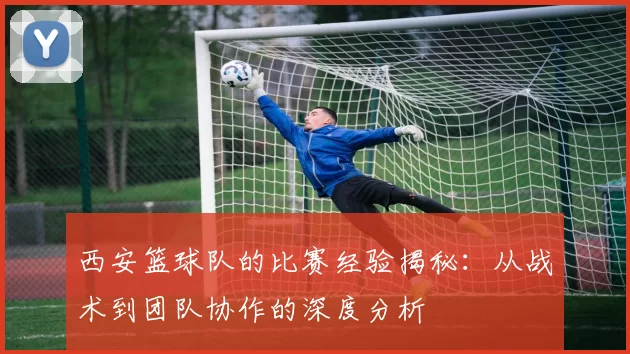 西安篮球队的比赛经验揭秘：从战术到团队协作的深度分析