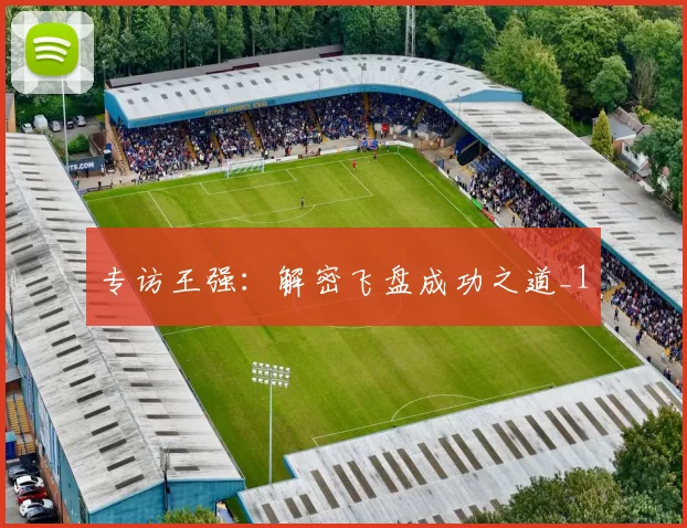 专访王强：解密飞盘成功之道_1